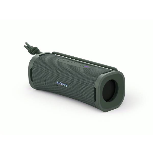 SONY SRSULT10H.CE7 ULT FIELD 1, Bluetooth Φορητό Ηχείο, Forest Γκρίζο