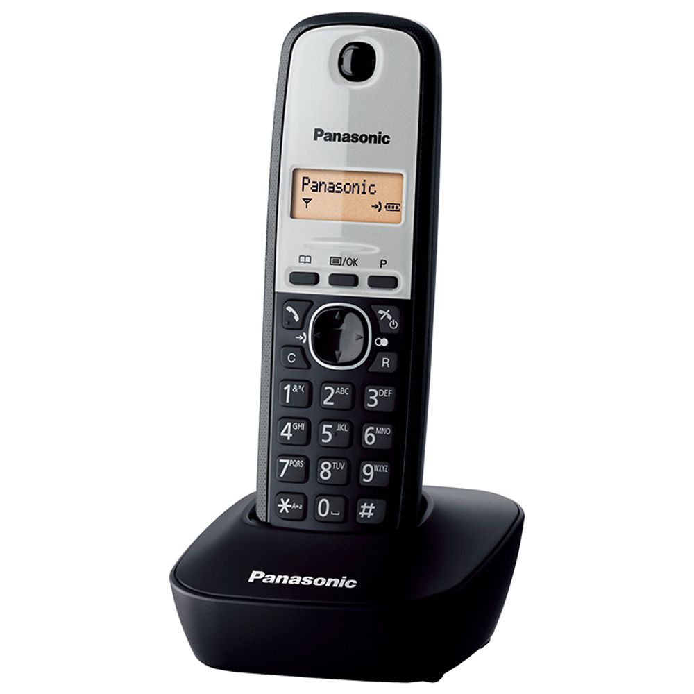 Panasonic KX-TG1611GRG Silver