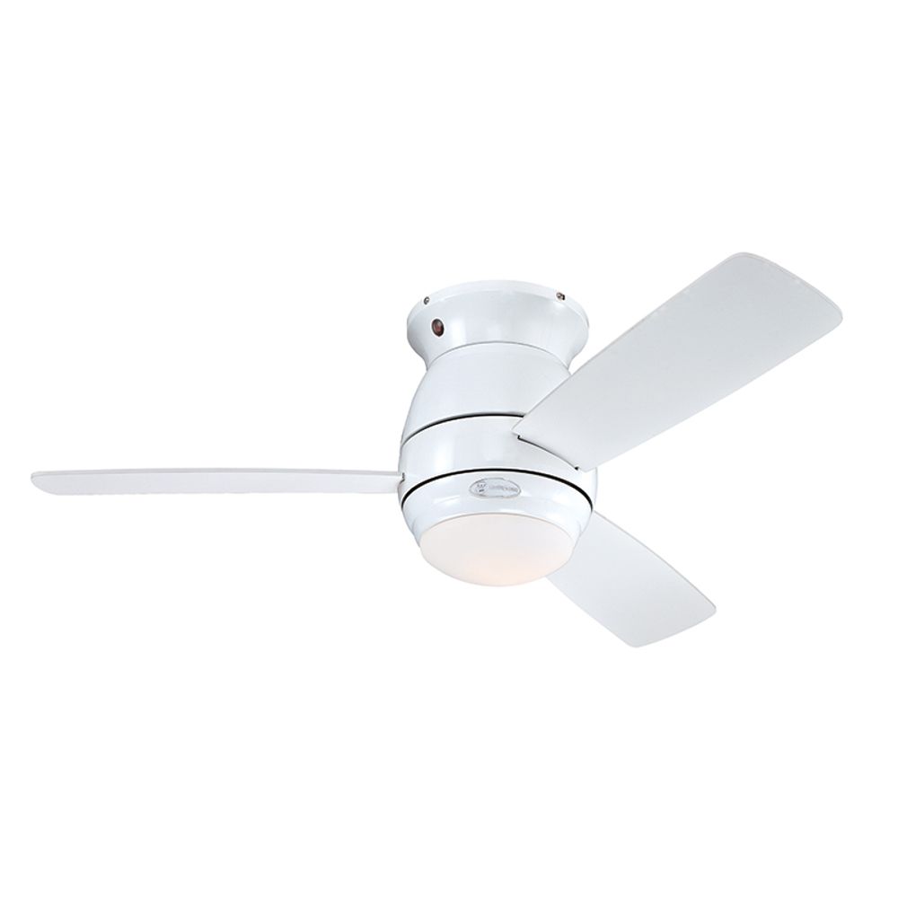 Westinghouse Halley White