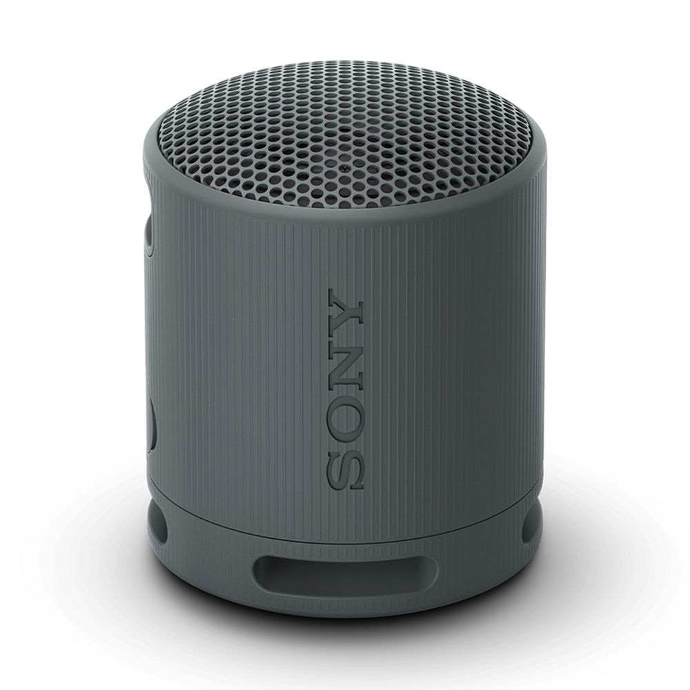 Sony SRS-XB100B Black