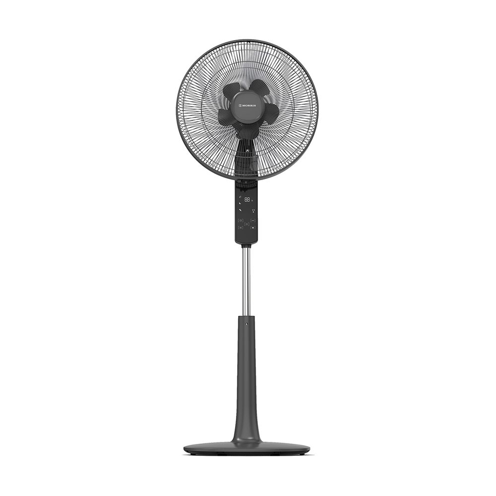 Morris MFS-16246 DC Black