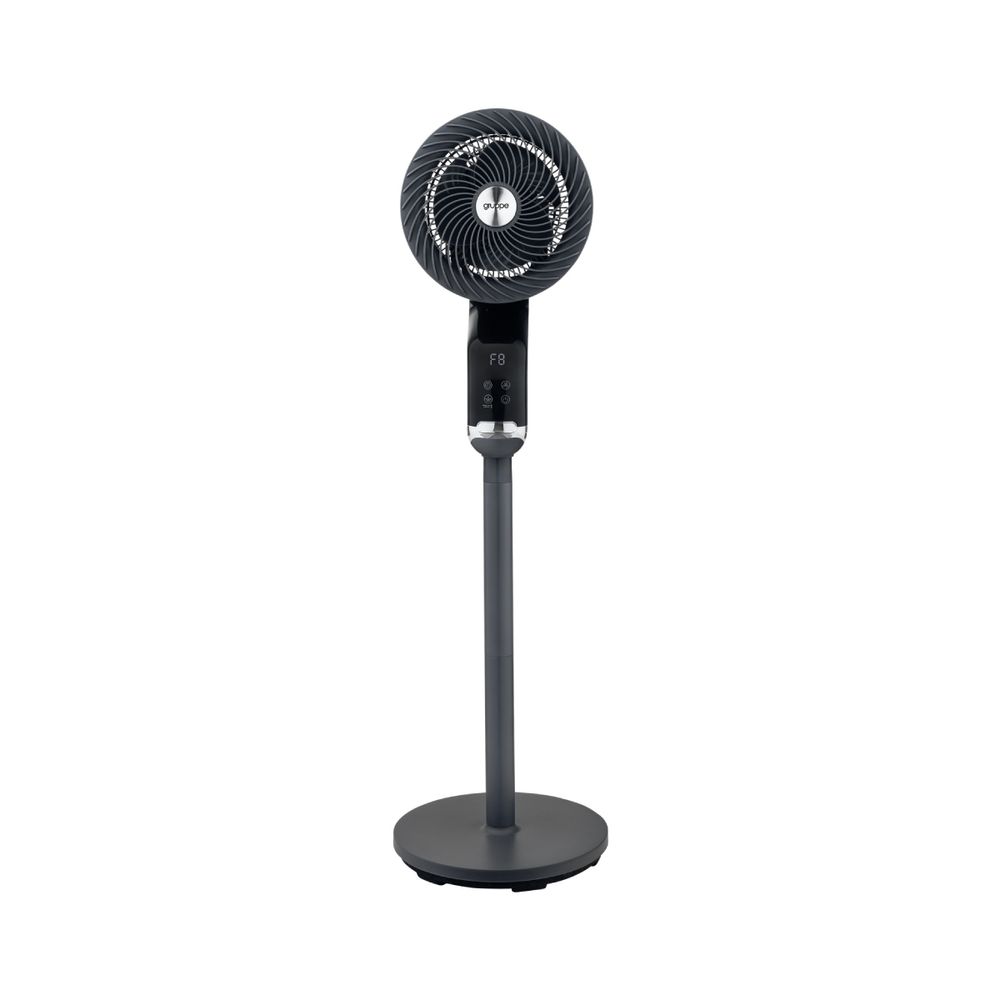 Gruppe FX-L20R