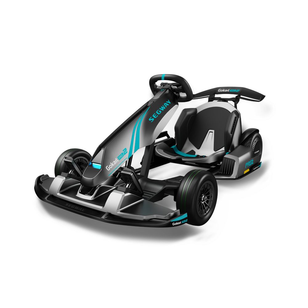 Segway Ninebot PRO 2 GoKart