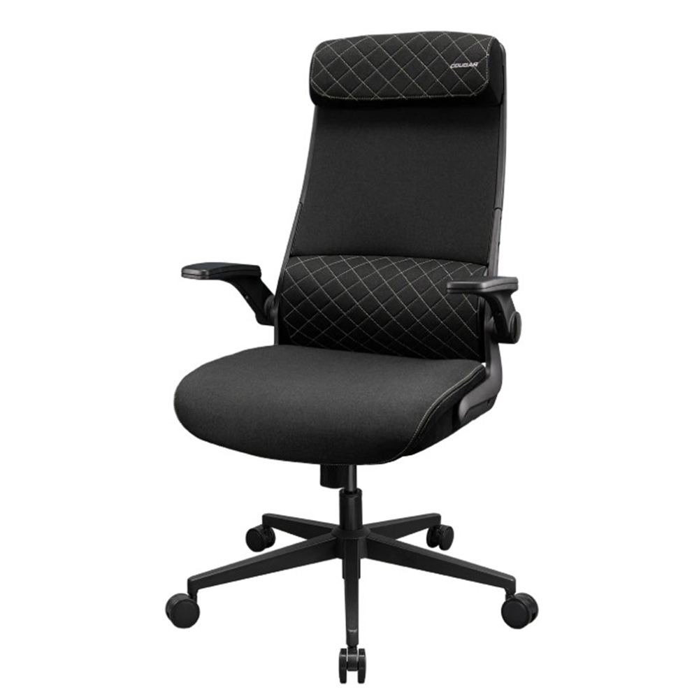 Gaming Chair COUGAR Stryder 3MSTDBLB.0001 black