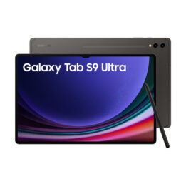 Samsung Galaxy Tab S9 Ultra 5G 14.6 X916 1TB 16GB Grey