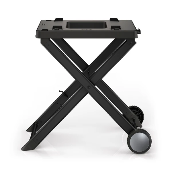 NINJA Woodfire Electric BBQ Grill Stand