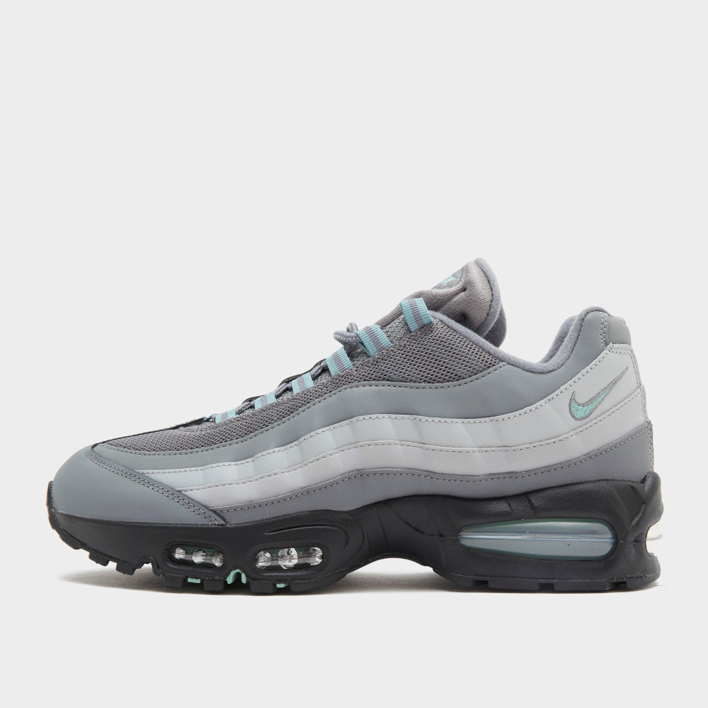 Nike Air Max 95 Men's Shoes (IM5987-084)