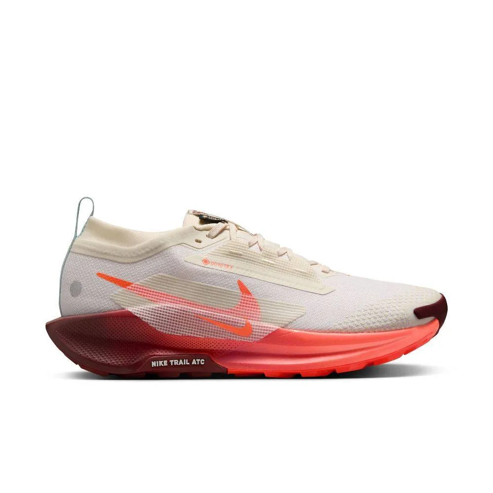 NIKE PEGASUS TRAIL 5 GTX (FQ0908-104)