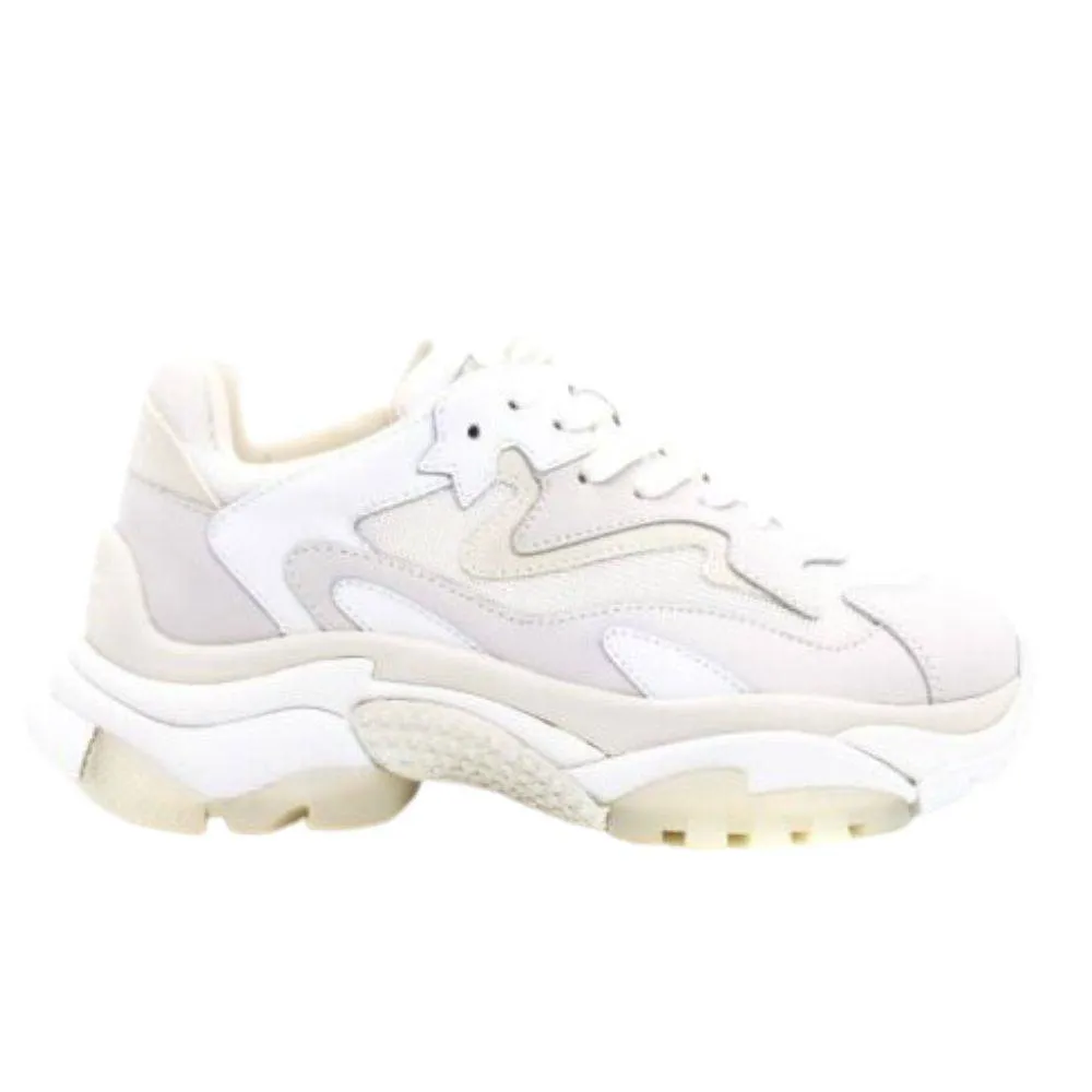 ASH "ADDICT" SNEAKER (SS22-S-126379-004)