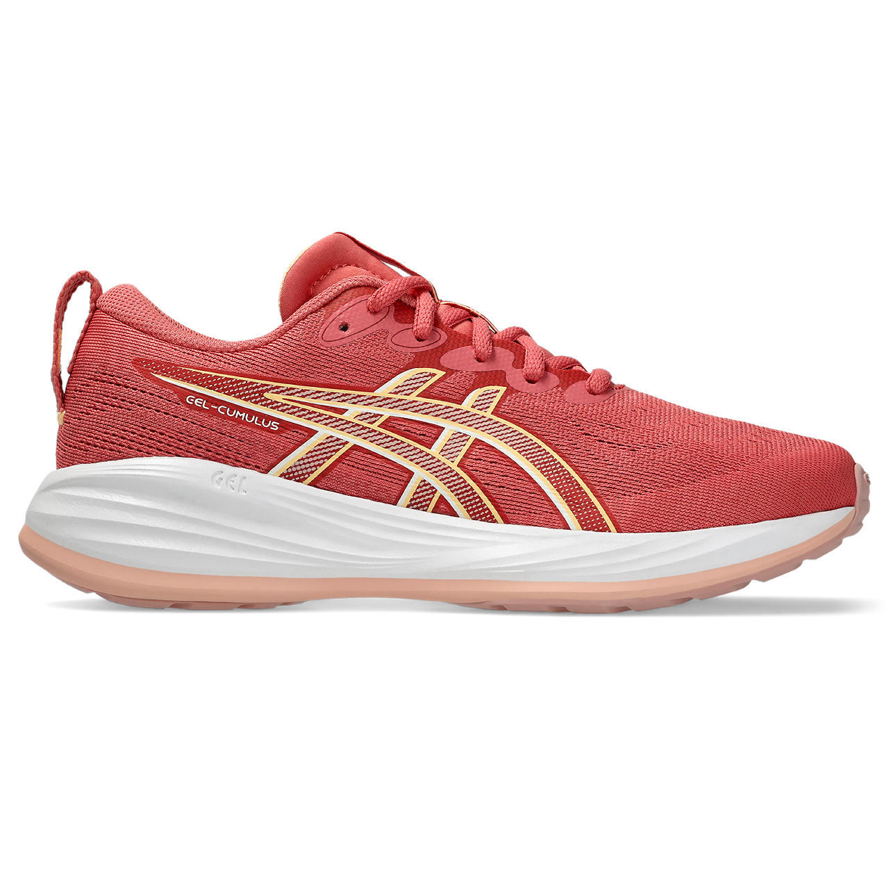 Asics Juniors Gel-Cumulus 27 Gs (1014a366-700)