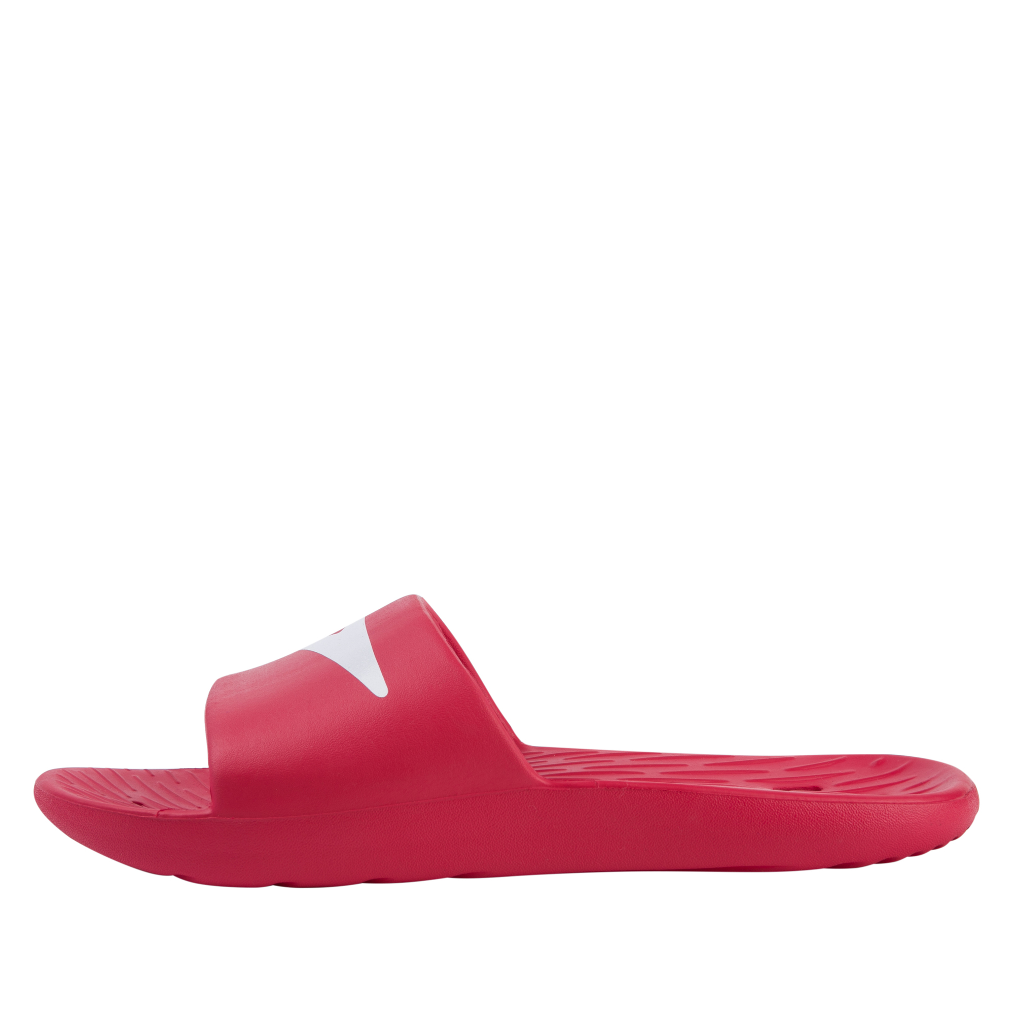 Speedo Men Speedo Slide Am (12229-6446) (450524)