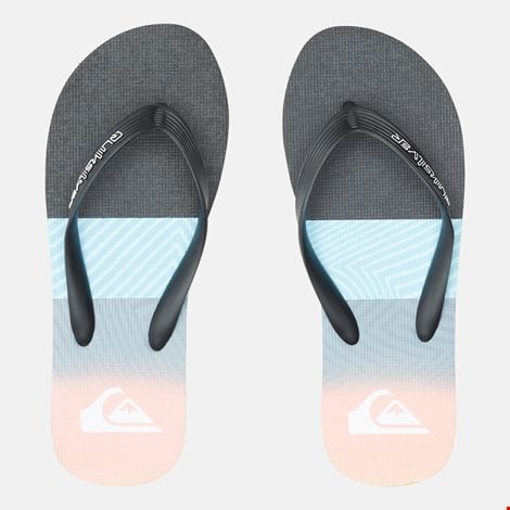 QUIKSILVER Ανδρικές Σαγιονάρες Molokai Panel (900804)
