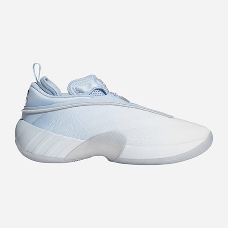 adidas Ανδρικά Παπούτσια Μπάσκετ D.O.N. Issue 7 Γαλάζια (1081291)