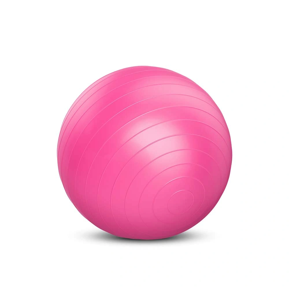 Exercise Ball 55cm (X-FIT)