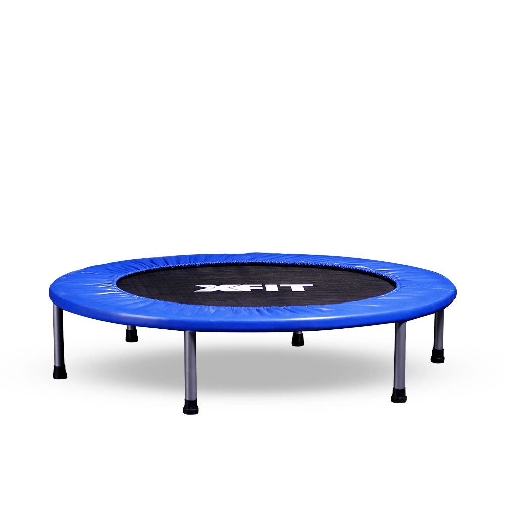 Trampoline 100 cm (TT) (X-FIT)