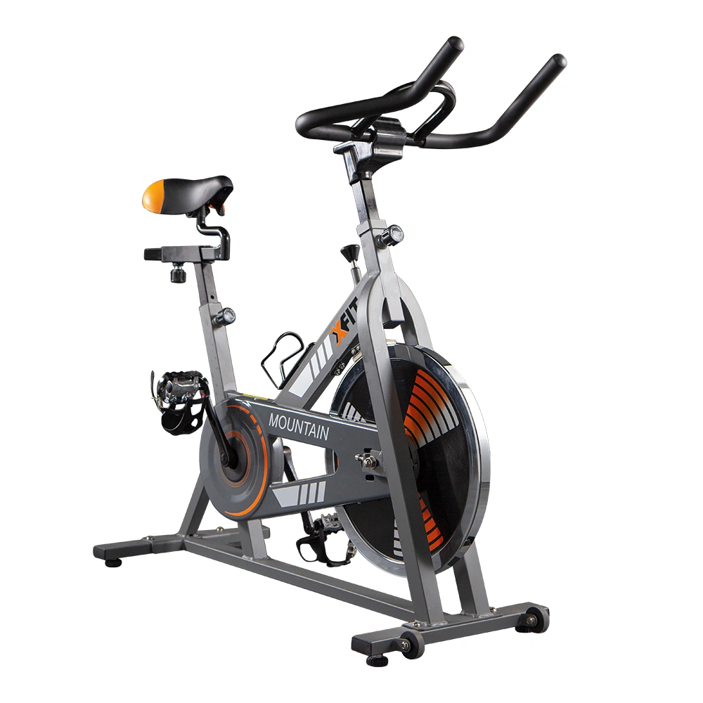 Speeding Bike Mountain (X-FIT)