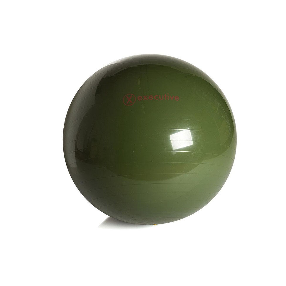 Gymball Executive