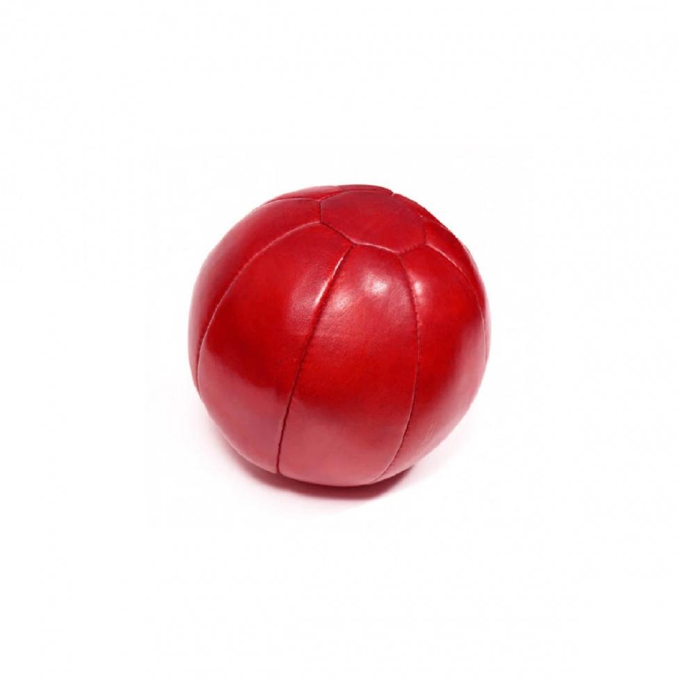 Leather Medicine Balls