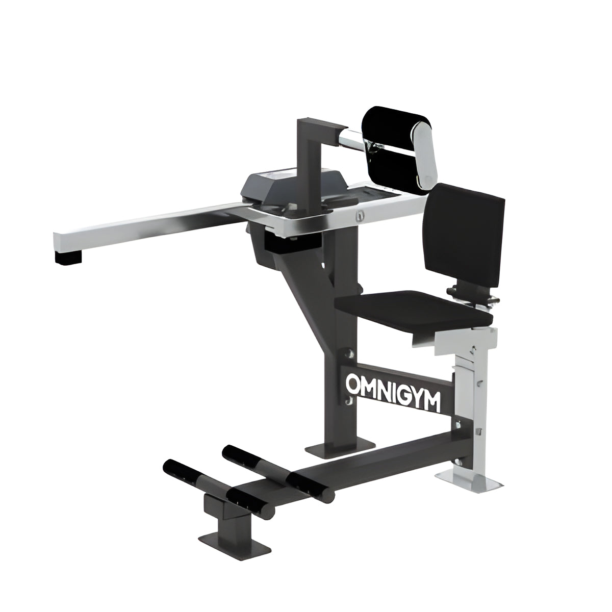 Omnigym Seated Back Extension
