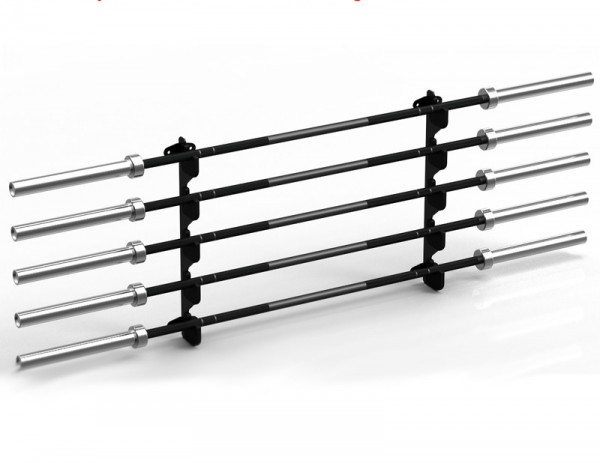 IFS Gun Rack