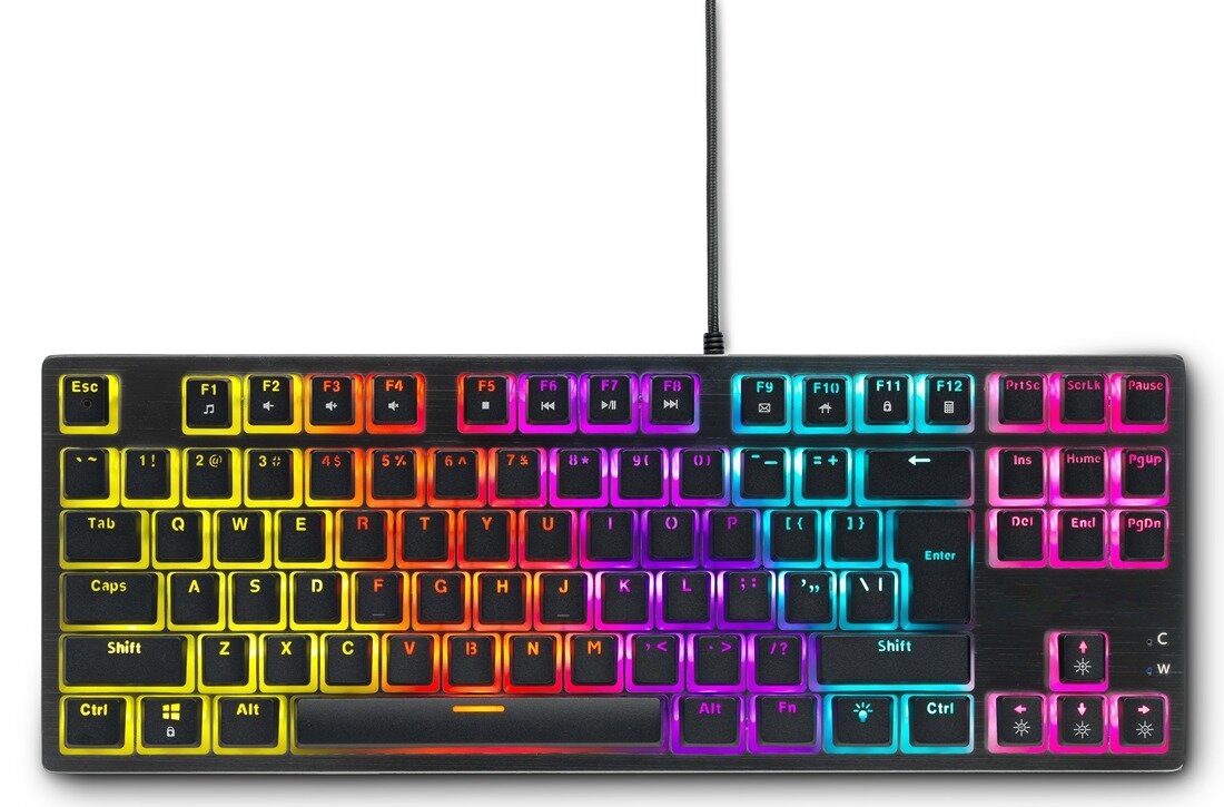 Spartan Gear Lochos 2 RGB TKL Wired Mechanical Gaming Keyboard