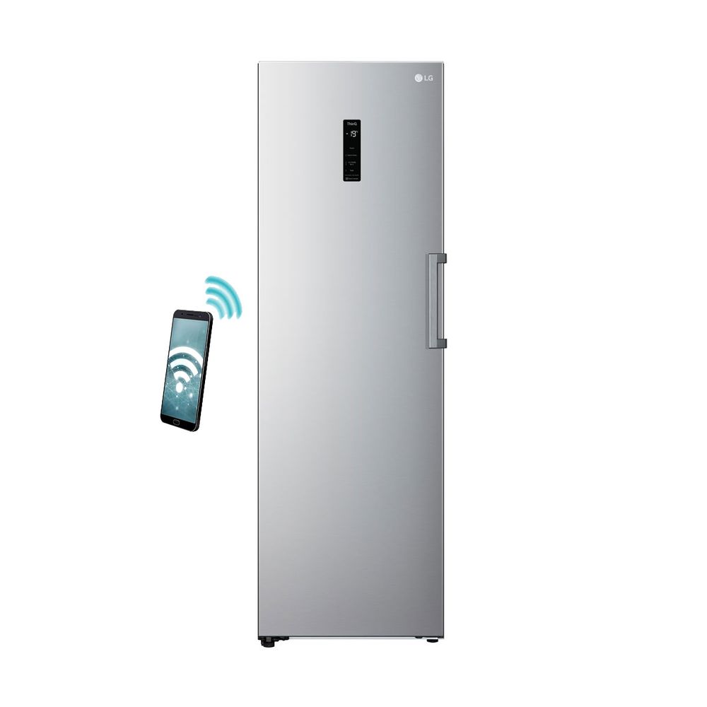 LG THOR GFE41PZGSZ Platinum Silver