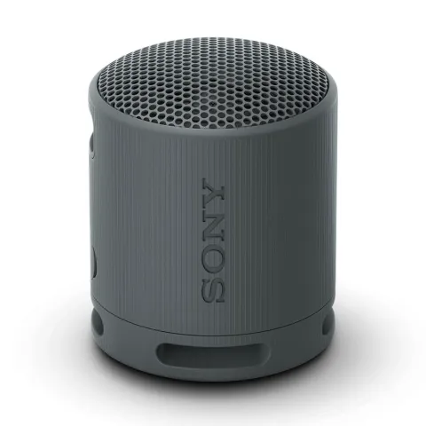 Sony SRS-XB100B Black