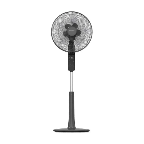Morris MFS-16246 DC Black