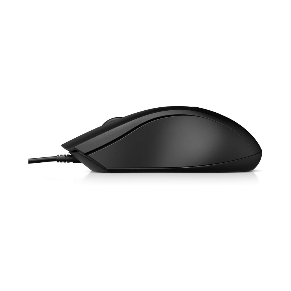 HP Mouse 100