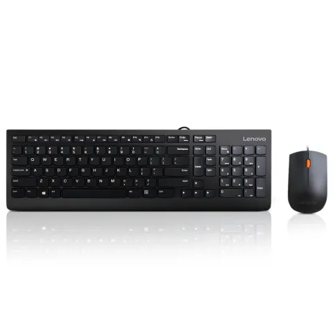 Corded Keyboard + Mouse Lenovo 300 USB Combo GX30M39606 US black