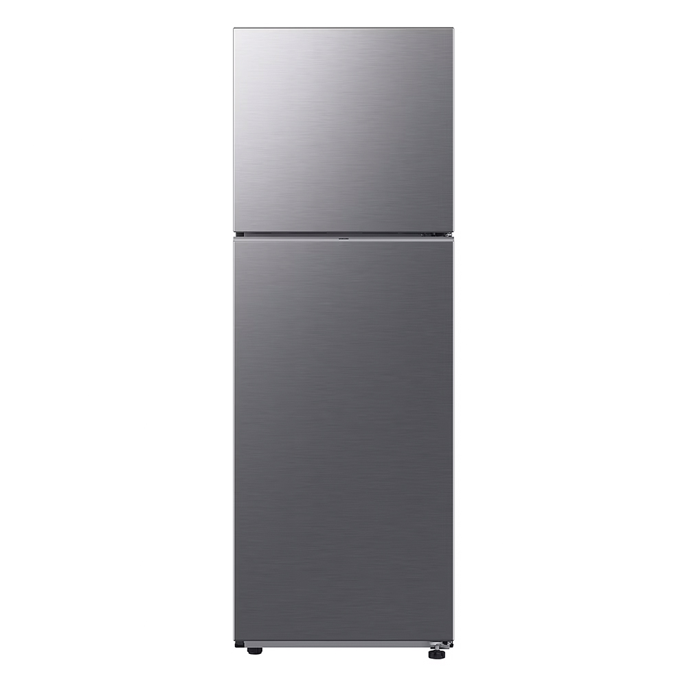 Refrigerator SAMSUNG RT31CG5624S9ES silver