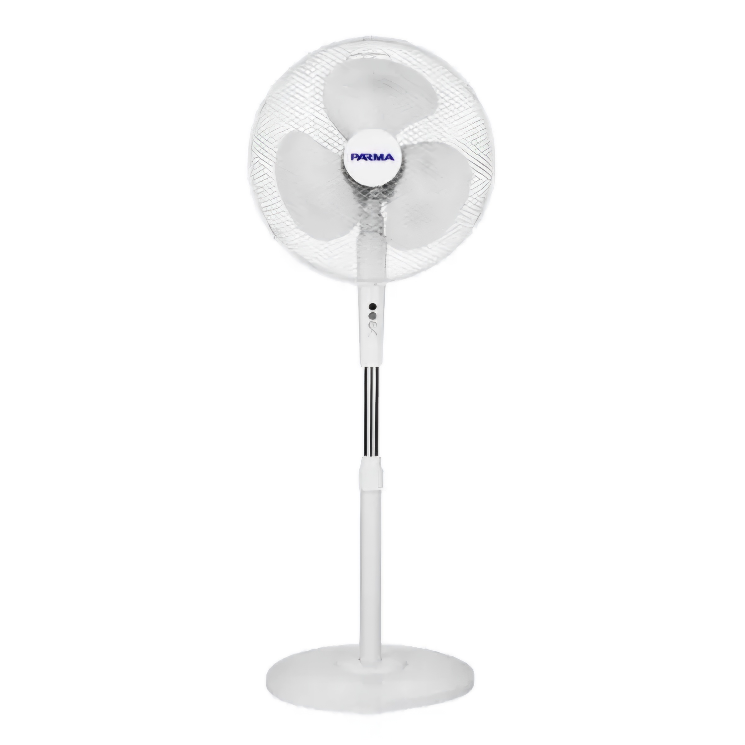 Fan Parma, NDD2006