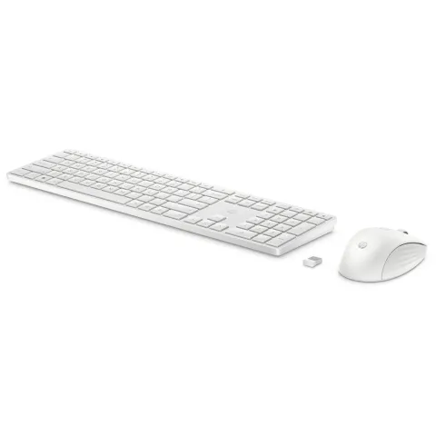 HP 650 White