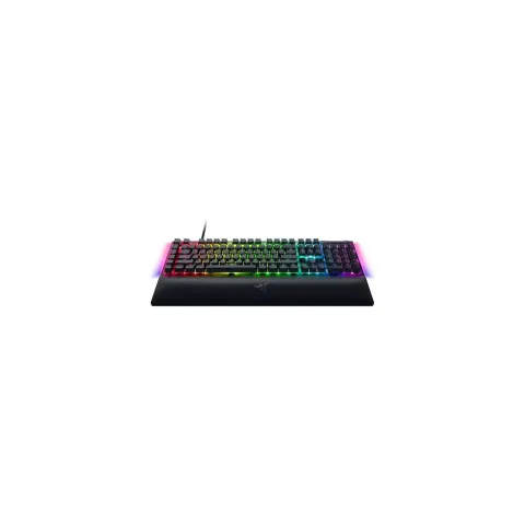 Blackwidow V4, Gaming-Tastatur