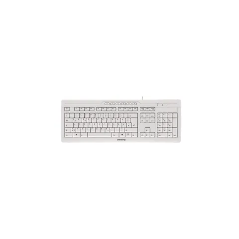 CHERRY TAS STREAM - 3.0 -