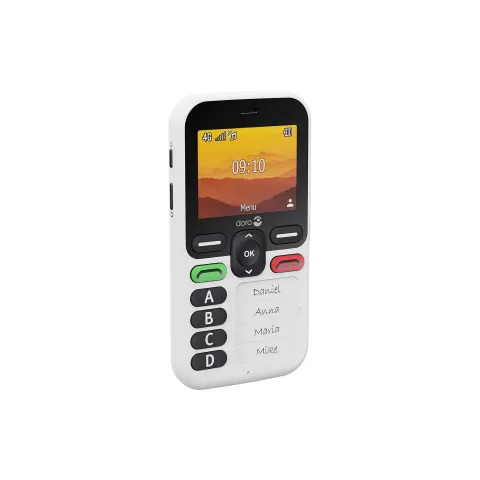 Doro Leva X10