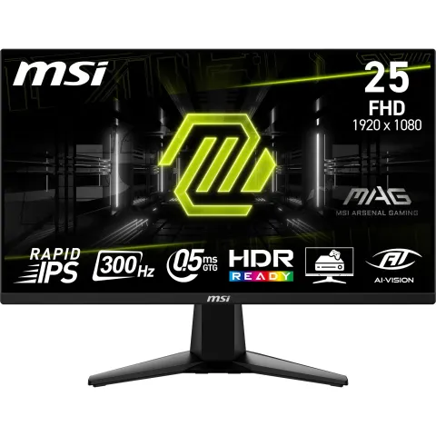 62,2 cm (24.5") 1920 x 1080 Pixel MSI 9S6-3BC21M-021 16:9 Full HD Rapid IPS 0,5 ms 300 Hz HDR DisplayPort HDMI VESA