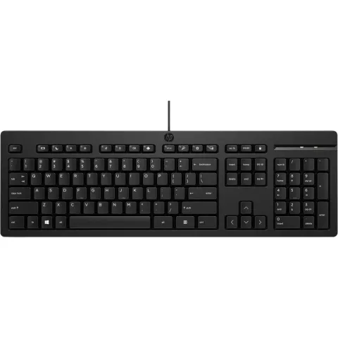 HP 125 G2 USB Wired Keyboard - Full-Size (100%) with Numeric Keypad - Black