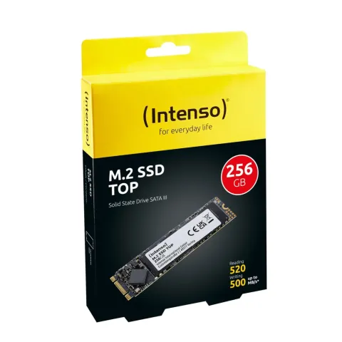 Intenso TOP 256GB M.2 2280 SATA III SSD - 520 MB/s Read - 3832440