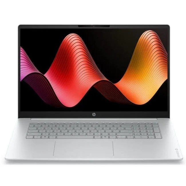 HP OmniBook 3 - Ryzen 5 40 | 17,3"-FHD | 8GB | 256GB | noOS | Srebrny