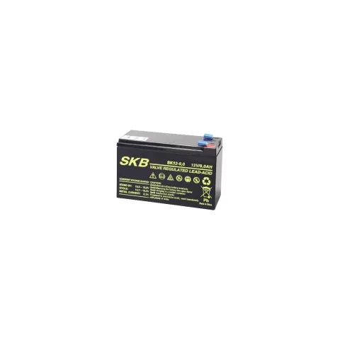 SKB Lead Acid Battery 12V 9.0Ah SK12-9 - UPS Replacement Battery