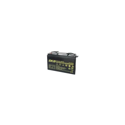SKB Lead Acid Battery SK12-100S - 12V 100Ah VRLA