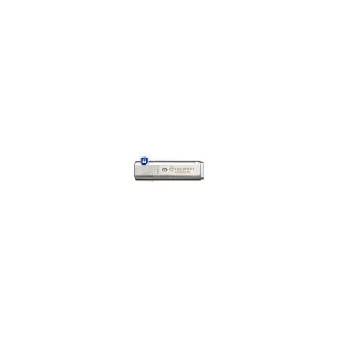 STICK USB-Stick 256GB Kingston IronKey Encryption retail