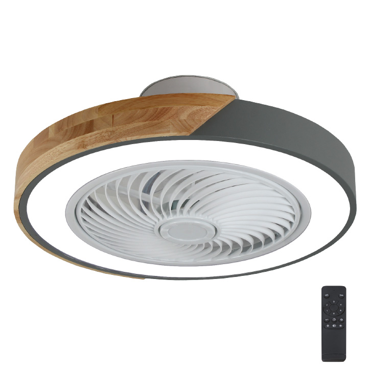 Gruppe Ceiling Fan Light LDGD042