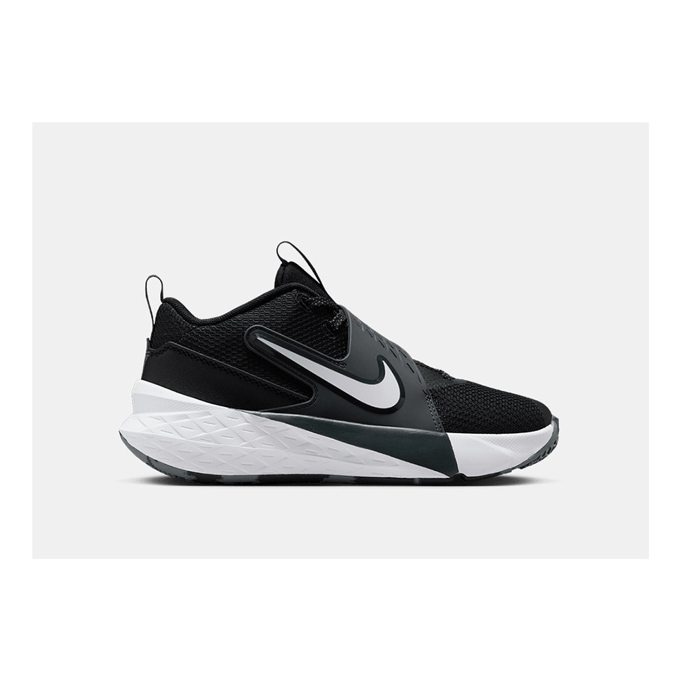 Nike Team Hustle D 12 Kids' Basketball Shoes (HF6279-002)
