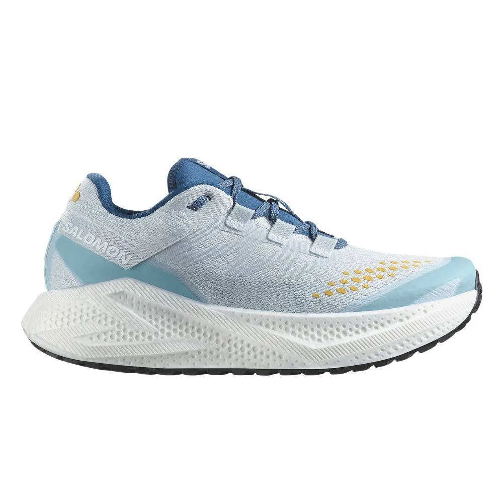 SALOMON AERO GLIDE 3 RUNNING SHOES (L47811800)