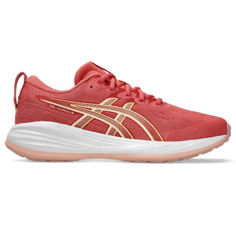 Asics Juniors Gel-Cumulus 27 Gs (1014a366-700)