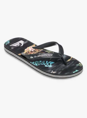 Quiksilver Men's Slides Molokai Art 25 (aqyl101430-kvj6)