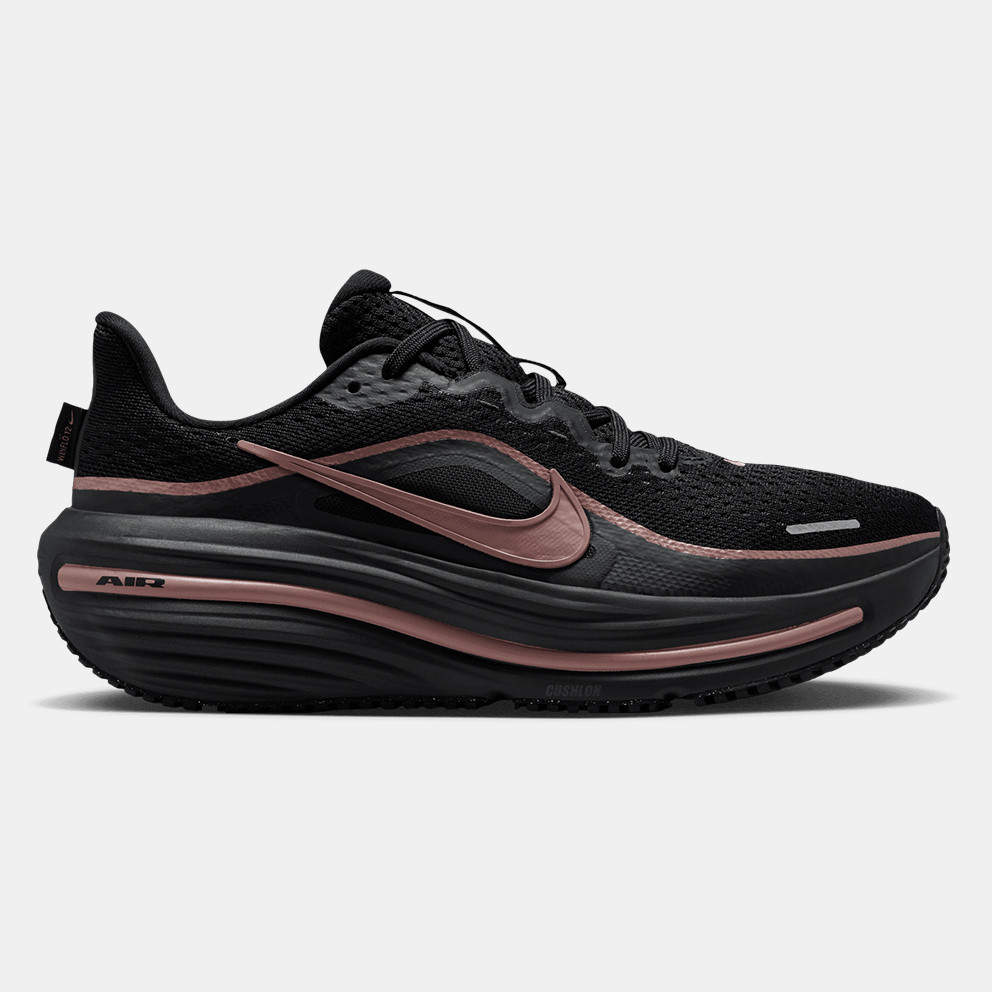 Nike Air Winflo 12 Women's Running Shoes (HV9273-004)