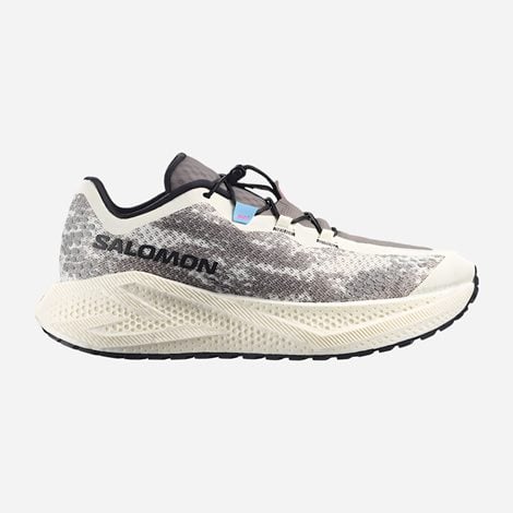 SALOMON Ανδρικά Παπούτσια για Τρέξιμο Aero Glide 4 Γκρι (1101622)